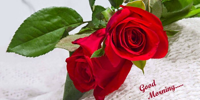 1600x1000 wallpaper HD: Lovely and Beautiful Good Morning Wallpapers