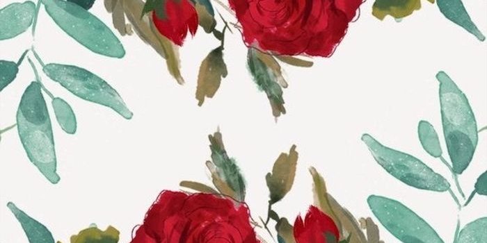 700x1244 ▷ 1001 + spring wallpaper images for your phone and desktop computer