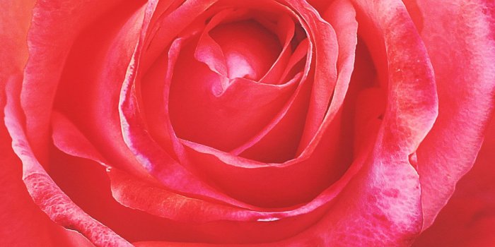 1440x2960 30+ New Samsung Galaxy S9 & S9 Plus Wallpapers & Backgrounds to