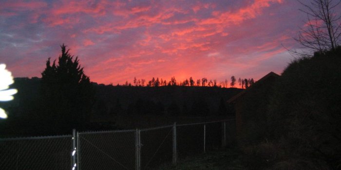 1024x768 House Hunt: Ramblin' Rose | Bonney Lake, WA Patch