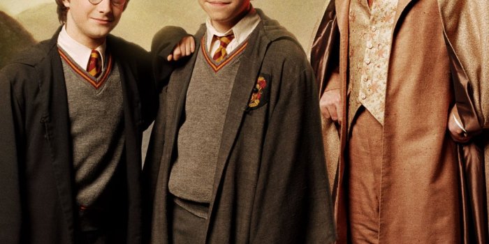 1242x2688 Outerwear, Harry Potter, Hermione Granger, Religion Wallpaper for