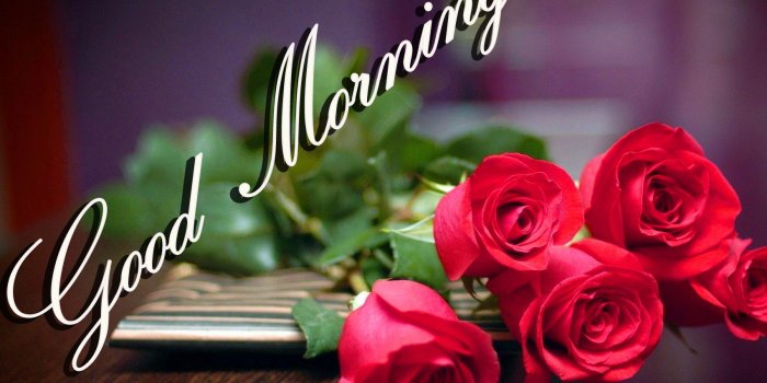 1703x1074 Latest Good Morning Images Wallpaper Photo Pics HD Download For