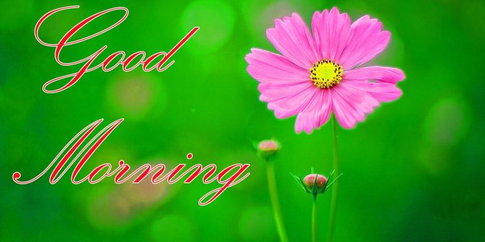 1619x957 Latest Good Morning Images Wallpaper Photo Pics HD Download For