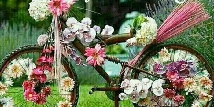 1024x768 Download Good - Good Morning Images Very Beautiful On Barraques.cat