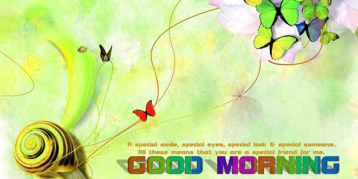 1600x1227 Fresh Animated Good Morning Wallpaper Hd | HD Wallpaper