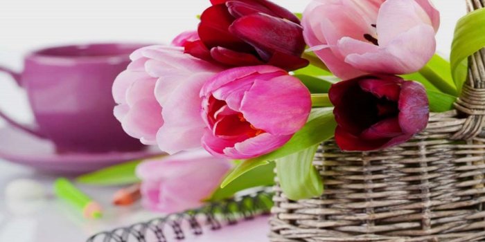 1600x1121 Stylish Good Morning HD Wallpapers in English & Hindi | HD Wallpapers