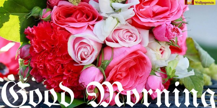 1366x768 Good morning wallpaper download Gallery