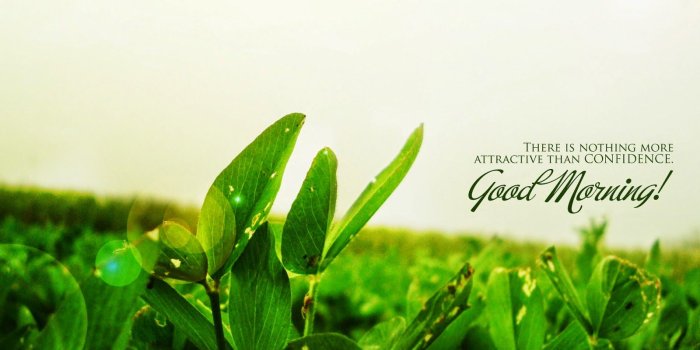 1600x900 iends-pics-quote-wish-good-morning-beautiful-hd-wallpaper-free