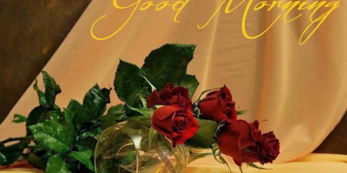 1600x1200 Good Morning Wallpaper (45+ images) on Genchi.info