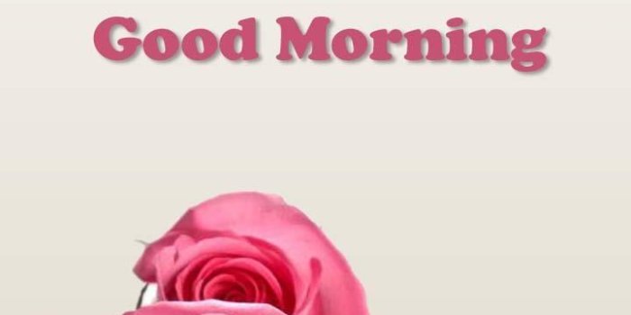 720x1280 Good Morning HD Wallpapers for Android - APK Download