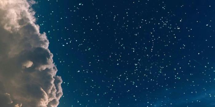 736x1308 BTS wallpaper Jungkook Love Yourself Tear - Cool Pic