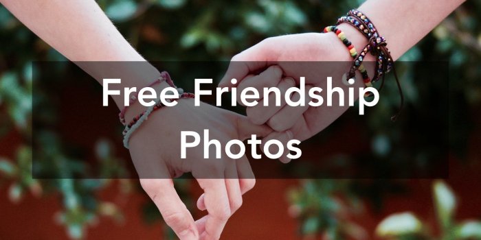 1500x1000 500+ Amazing Friendship Photos · Pexels · Free Stock Photos