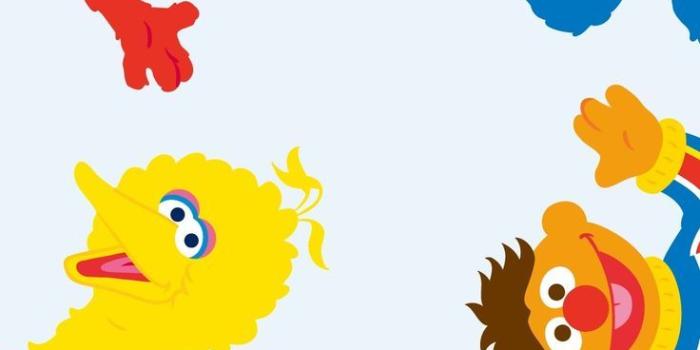 736x1308 Sesame Street Kids Room Wall Plaques - Set of 6 Sesame Street Room