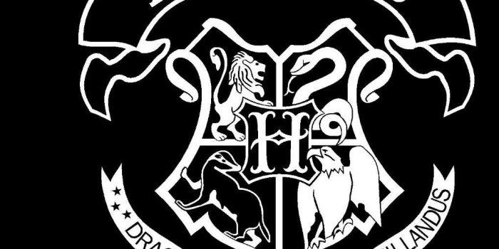 1019x938 Detail Feedback Questions about Harry Potter Hogwarts School Crest