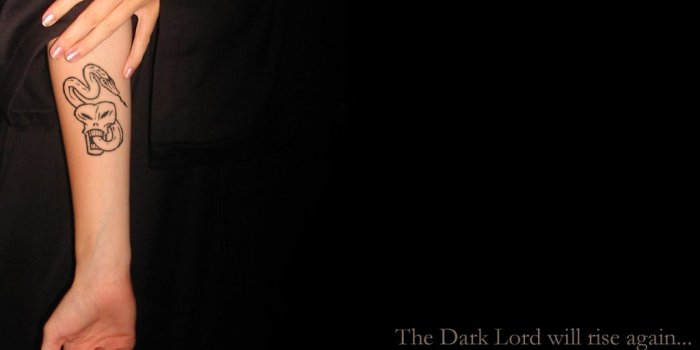 1024x768 Free download Dark Lord will rise again Slytherin Wallpaper 1731019