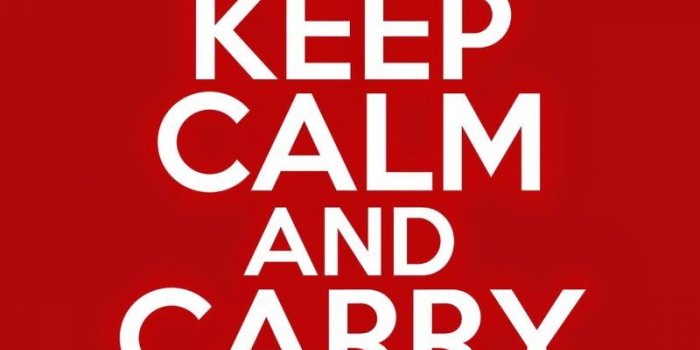 800x1000 harry-potter-keep-calm-sign - Safer Guernsey