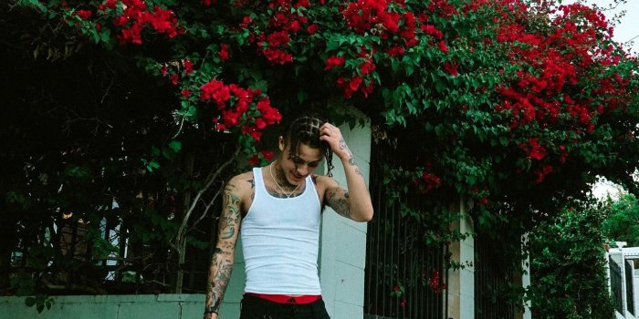 1365x2048 lil skies... look at all the RED ROSES | MUSIC :) | Lil skies, Red