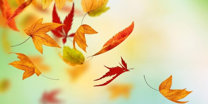 1280x800 Free Wallpapers][Galaxy S6 Wallpapers], Inspired by original Samsung