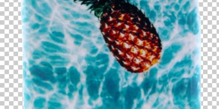 728x1216 Desktop Pineapple Tree PNG, Clipart, Aesthetics, Aqua, Desktop