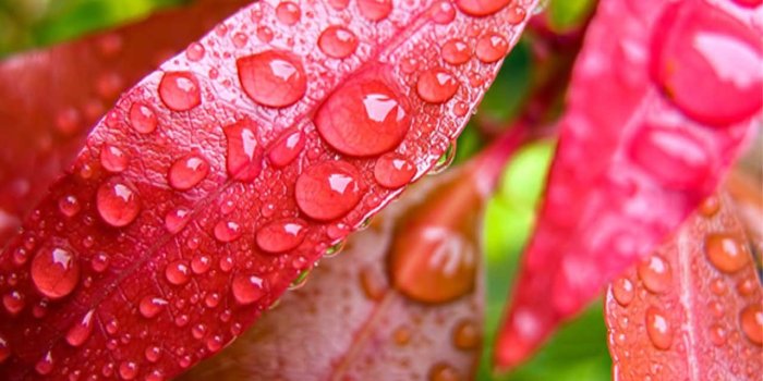 1280x800 Free Wallpapers][Galaxy S6 Wallpapers], Inspired by original Samsung
