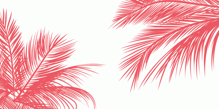 1081x1921 45+ Pink Palm Tree Wallpapers - Download at WallpaperBro