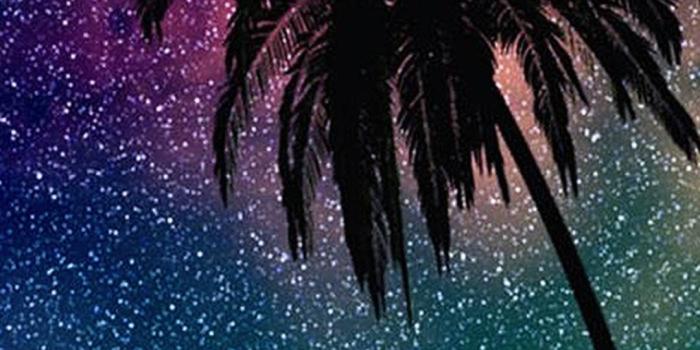 1080x2220 Magical | Amazing Space/Images and Gifs | Tree wallpaper, Tree