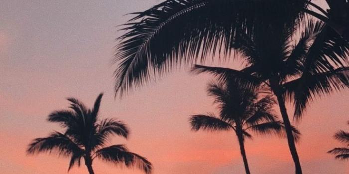 736x1214 Image about cute in lockscreens by tragiquement