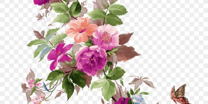 900x900 Pink Flower Cartoon png download - 1600*1600 - Free Transparent