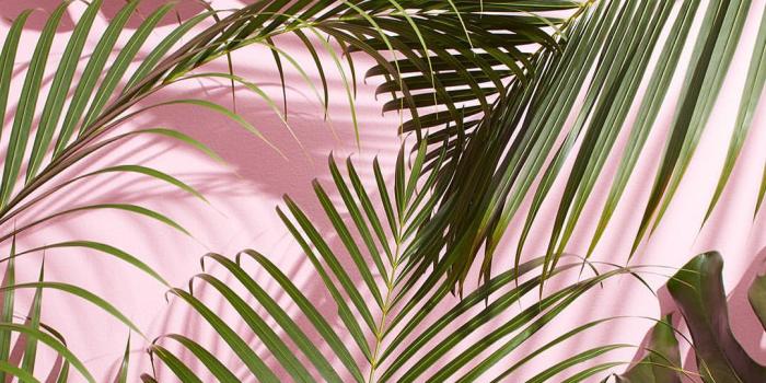 1080x1080 Cute Wallpapers 