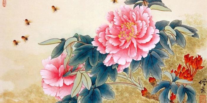 1024x768 Chinese Flower Wallpapers - Top Free Chinese Flower Backgrounds
