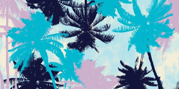 1280x1064 Palm Trees Tumblr Wallpaper