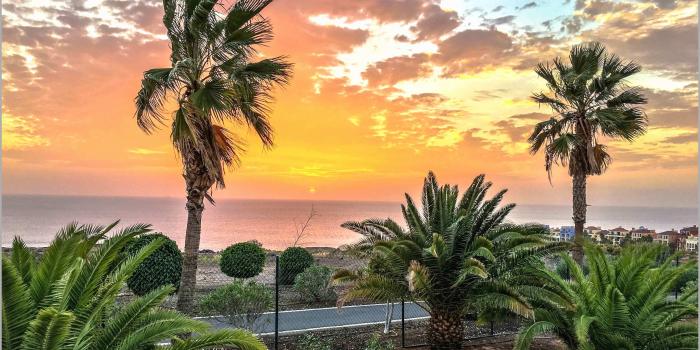 4032x2452 67 Cute Gallery Of Black and White Palm Leaf Wallpaper | Best of