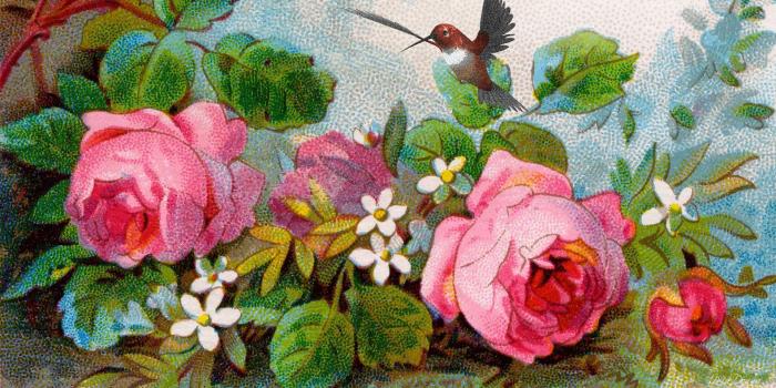 1920x1080 Summer Painting HD desktop wallpaper : Widescreen : High Definition