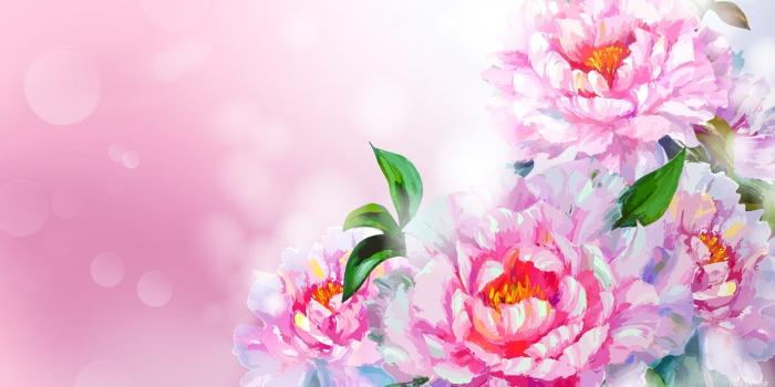 1920x1080 68+ Watercolor Flowers Wallpapers on WallpaperPlay