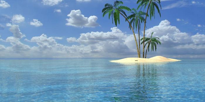 1920x1200 Palm Trees 3D Beach Wallpaper Desktop #7822 #988 Wallpaper | MoshLab