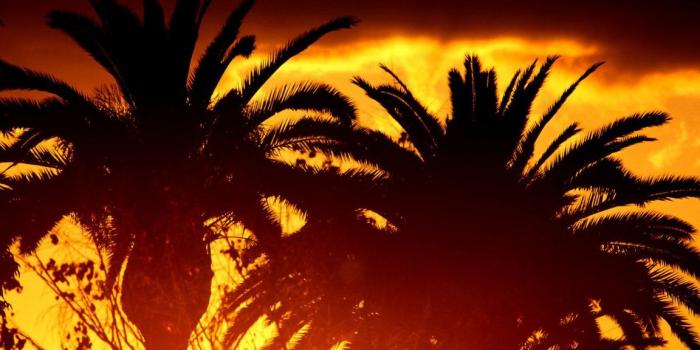 1152x864 Desktop Wallpaper On Nature, Vintage, Car, 3D Wallpaper and Many