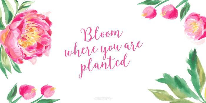 2016x1100 Watercolor Flowers Wallpaper (51+ images)