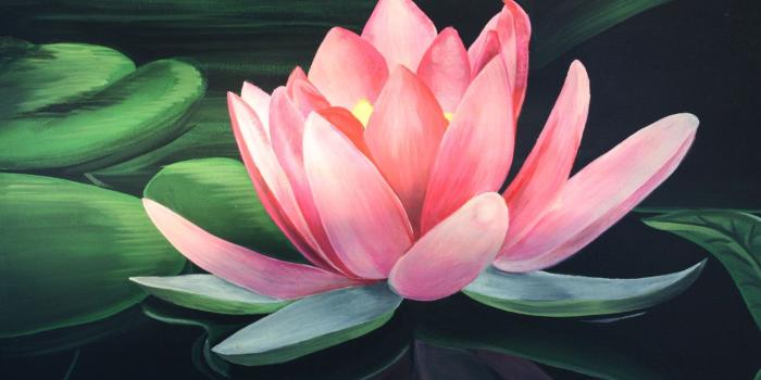 1500x1000 Lotus Flower art - Flower HD Wallpapers, Images, PIctures, Tattoos