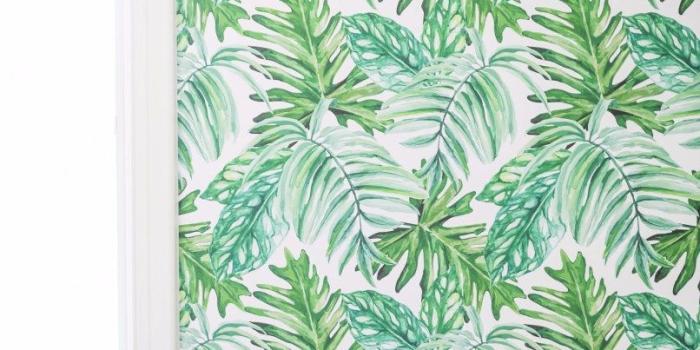 806x1209 Palm Leaves Wallpaper Decor | Jidileaf.co