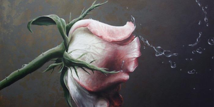 1920x1080 Awesome Flower Painting Images Hd | Top Collection of different