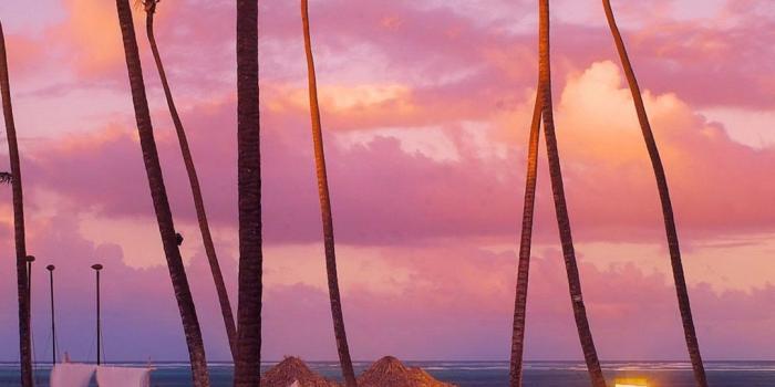 1080x1920 Wallpaper Palm Trees Iphone | Wallpapersimages.org