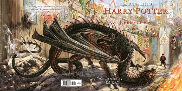 2000x725 Harry Potter | Harry Potter and the Goblet of Fire Illustrated