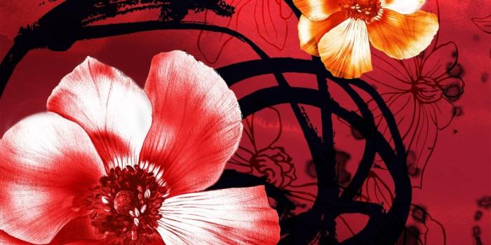 1440x899 Flower: Artistic Flower Colourful Vibrant Pattern Painting Flowers