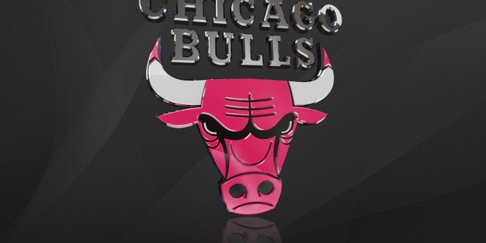 1600x1200 Chicago Bulls Wallpaper HD