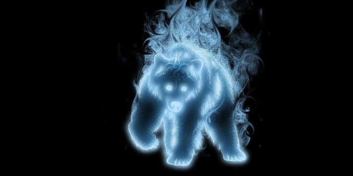 1069x748 Bear Patronus by Tribalchick101 My patronus would be a bear