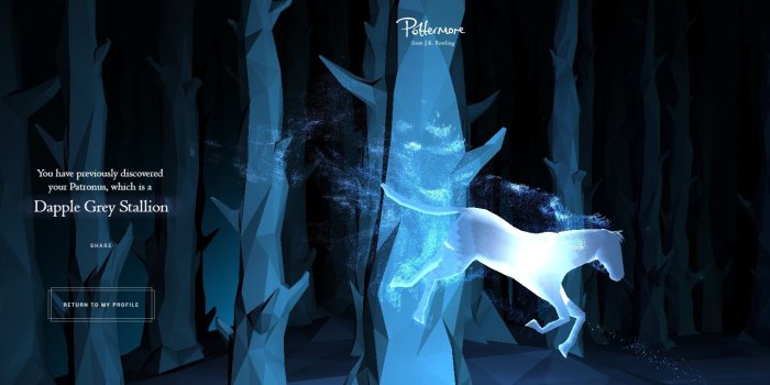 1492x722 Ginger Cat Patronus Meaning | Best Cat Cute Pictures, Meme, Cartoon