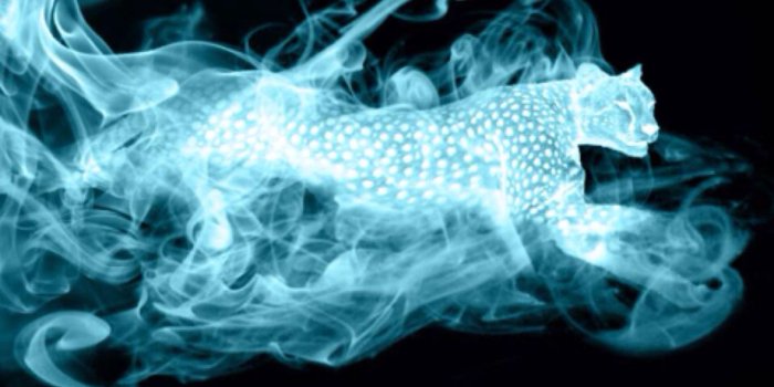 1280x960 Just Another Obsessive fangirl — Some Patronus's I edited out of a