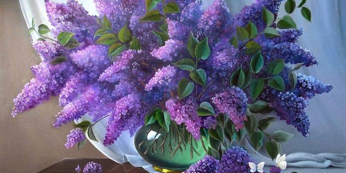 1440x1080 Curtains Tag wallpapers: Curtains Roses Fruits Still Lovely Table