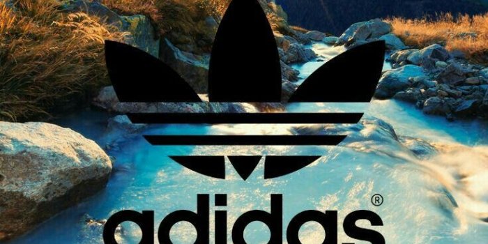 736x1108 Adidas Wallpaper For Phone | larmoric.com