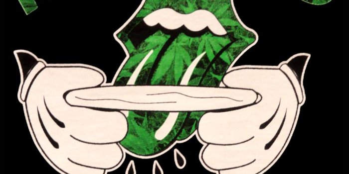 1001x1001 Rolling Stoned Cartoon Adult Hoodie☮ | It's a weed thing | Cannabis